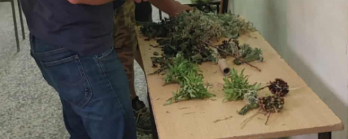 KKZ Ogrodnik na zajęciach praktycznych