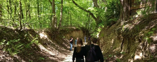 Wycieczka do Kazimierza Dolnego
